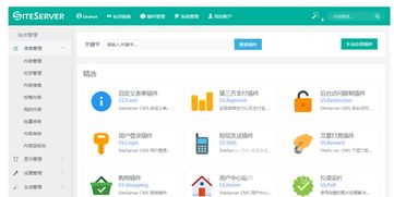 网站制作软件 siteserver cms v6.7.7 最新版软件下载