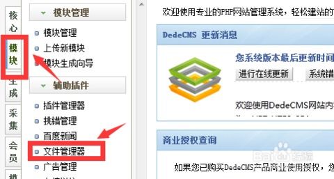 织梦cms系统的网站小图标更换